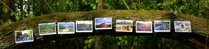 Postcards - Panoramic
