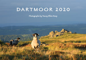 CA020 - Dartmoor 2020 Calendar