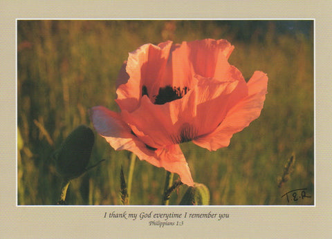 S057 - Pretty Poppy - Scripture Card - Rectangle