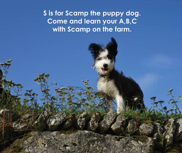 B34 - A,B,C ... On the Farm with Scamp - Flexi-cover Book