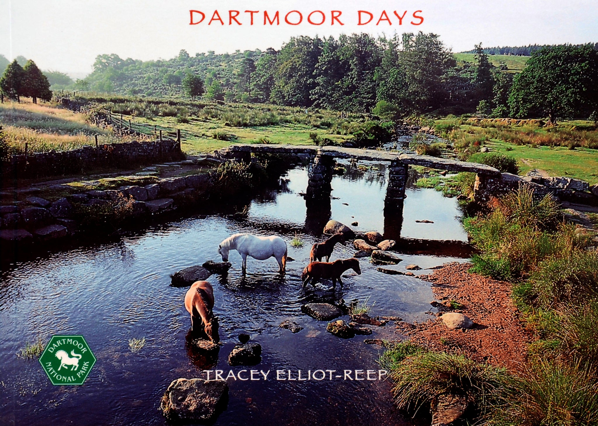 B18 - Dartmoor Days - Flexi-Cover Book