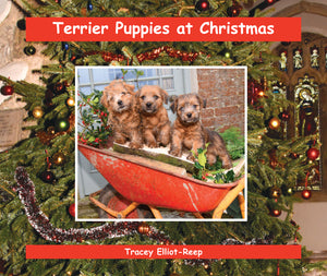 B029 - Terrier Puppies at Christmas - Flexi-cover Book
