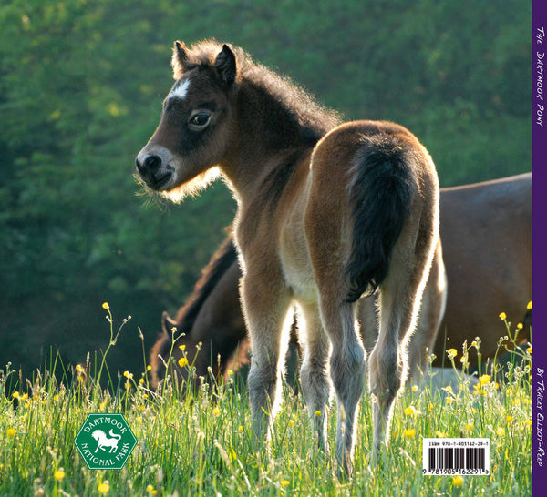 B06 - The Dartmoor Pony Book - Inc 2 Free Pony Bookmarks