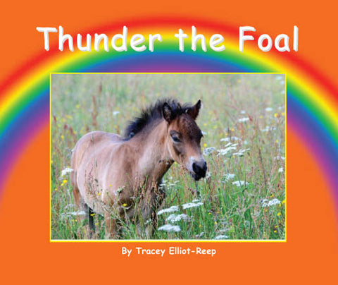 B17 - Thunder the Foal - Flexi-Cover Book