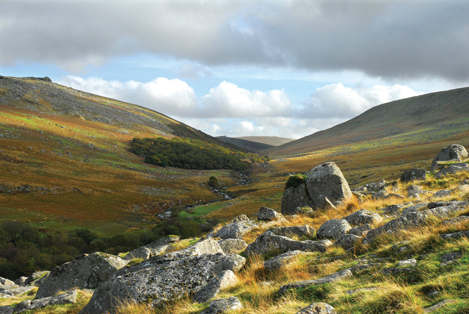 October light and colours on Dartmoor