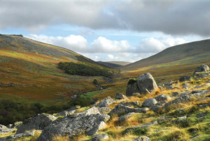 October light and colours on Dartmoor