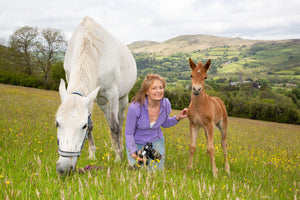 Ruach the chestnut foal born to gallop on Dartmoor!