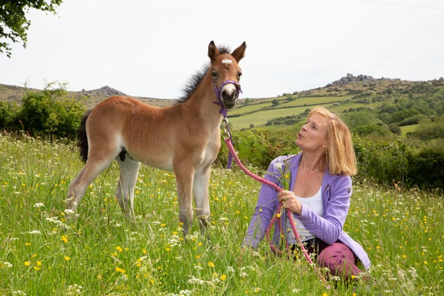 Cloudy Bay my first beautiful colt by Thunder Bay!