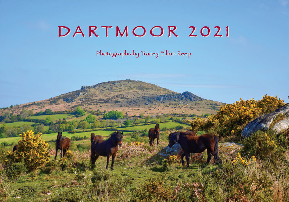 My 2021 Dartmoor Calendar is at Press!