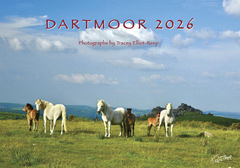 Dartmoor 2026 Calendar - makes the perfect gift
