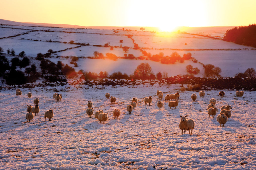 Sunset over the West Dart River Dartmoor