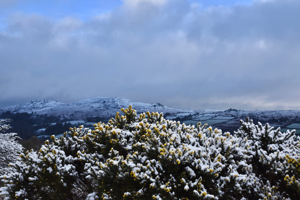 Snow on Honey Bags, Chinkwel, Bell Tor and Bonehill Rocks