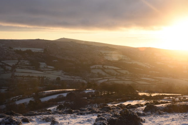 Happy New Year from Dartmoor !