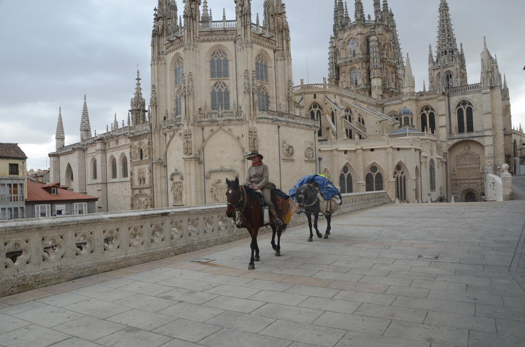 My jouney with horses across Southern Europe - a gratitude for my little Greek horses