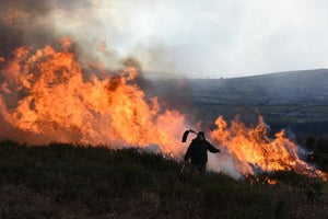 Swaling on Dartmoor