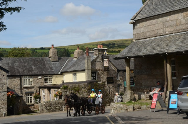 Pony and Trap drive through Widecombe-in-the-Moor