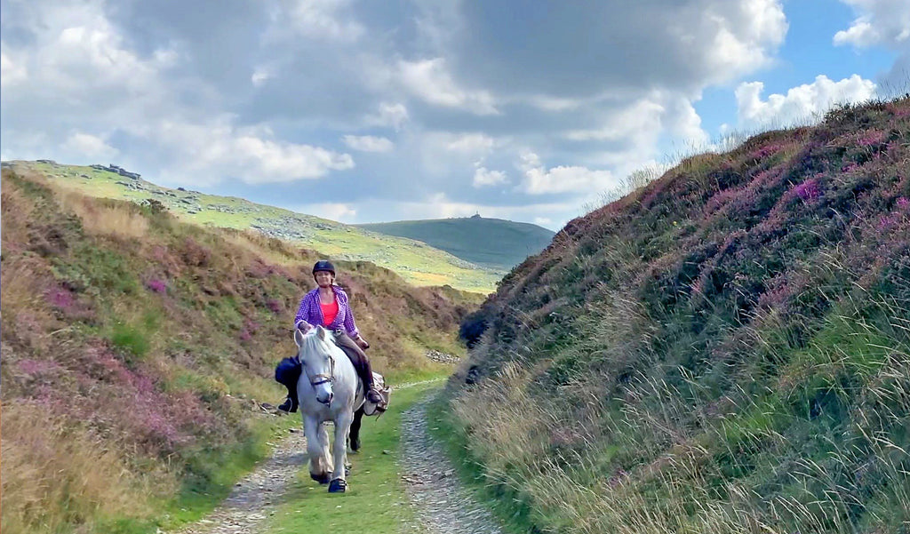 Dartmoor Pony Ride -Day 4 Lydford to Okehampton