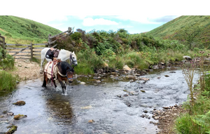 Exmoor Part 2