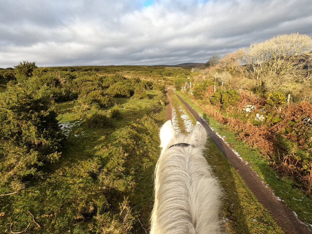 Tracey training ponies out on Dartmoor