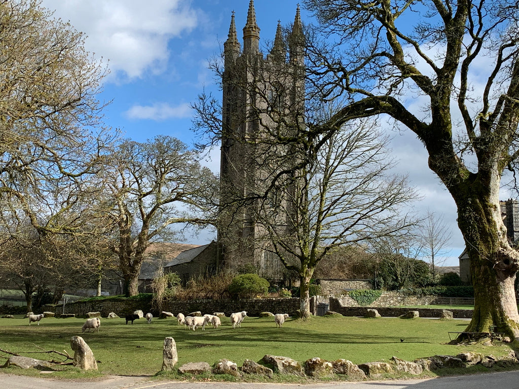 A Crowd in Widecombe-n-the-Moor!