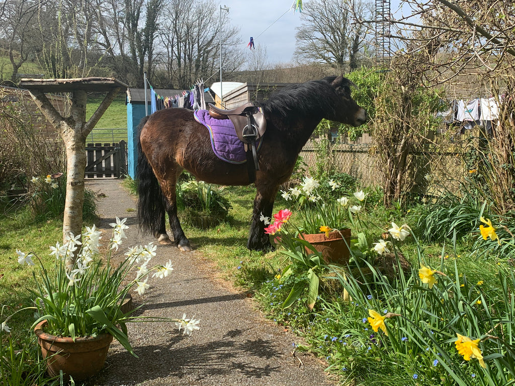 Everyone needs a lawn mower like this!