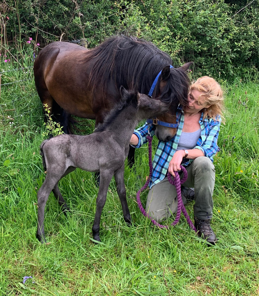 A Jubilee Surprise Foal!