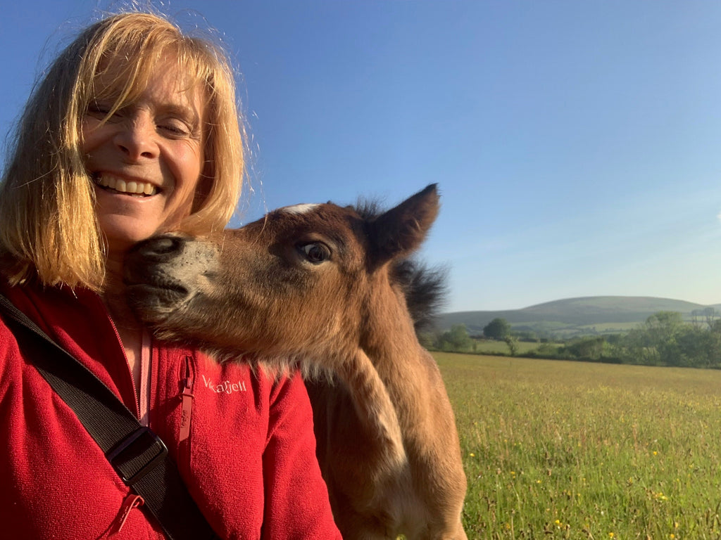 Selfie of me and my pretty Dartmoor foal!