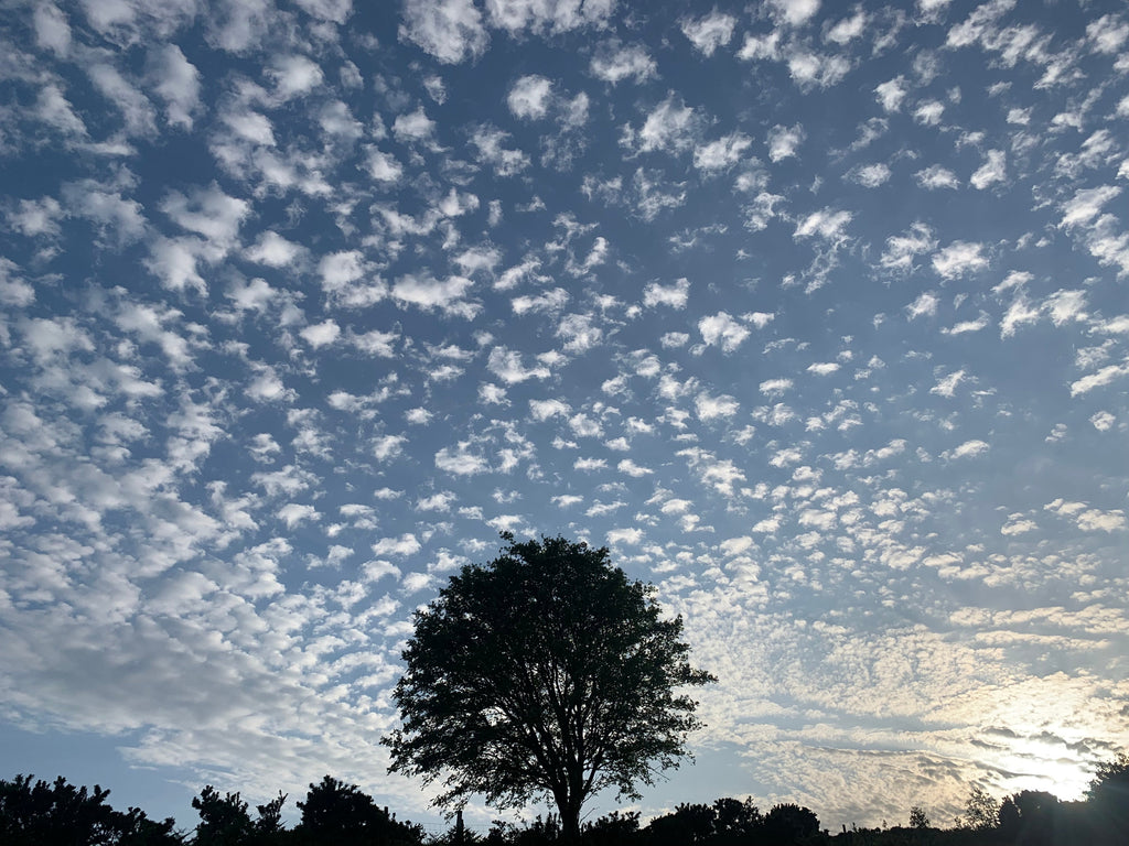 Midsummer sky magnificence over Dartmoor!