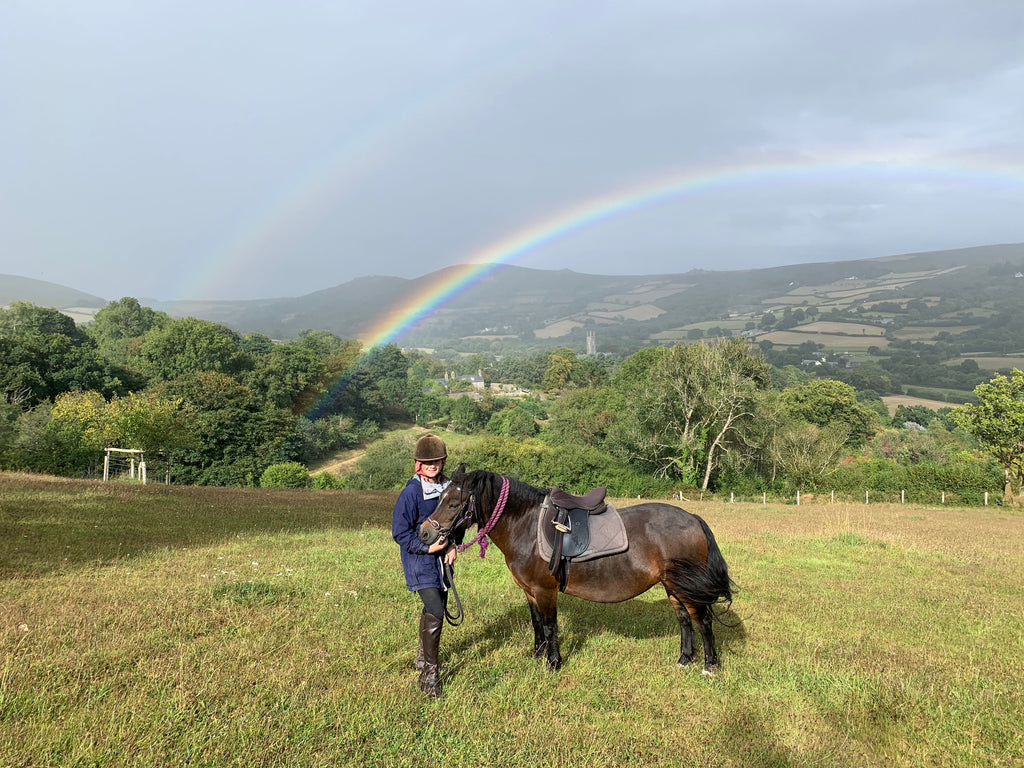 Rainbow the Dartmoor Pony under the Rainbow over Widecombe-in-the-Moor