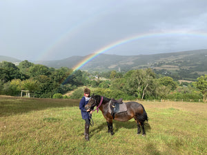 Rainbow the Dartmoor Pony under the Rainbow over Widecombe-in-the-Moor