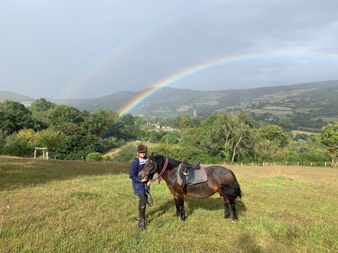 Rainbow the Dartmoor Pony under the Rainbow over Widecombe-in-the-Moor