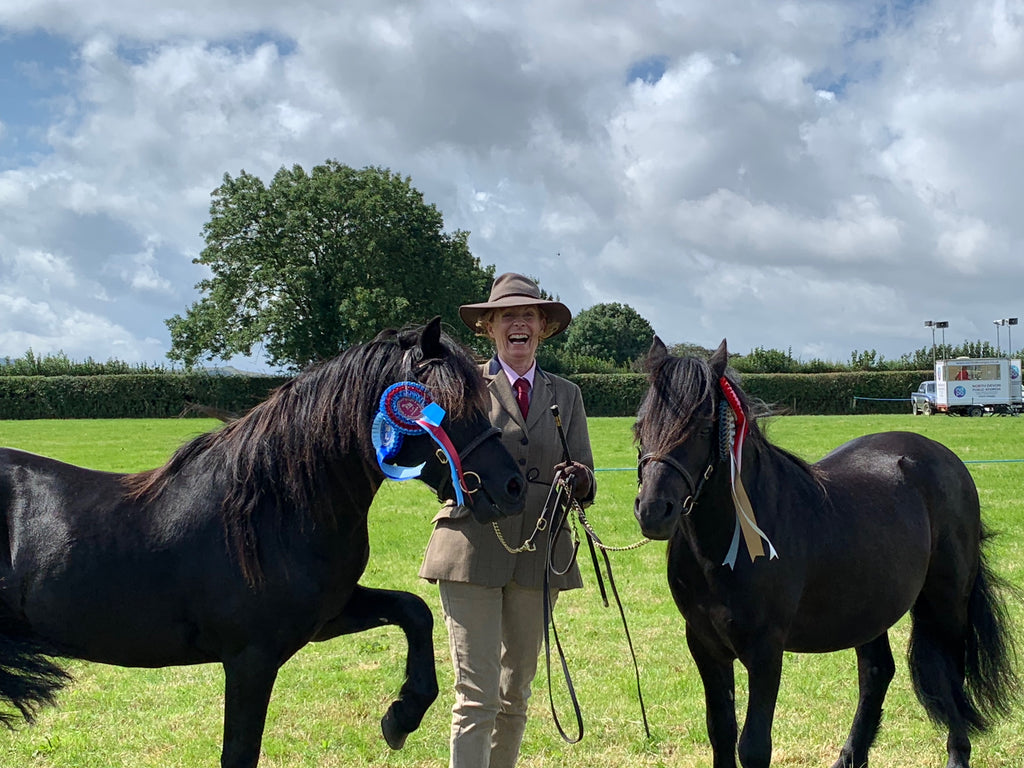 My black boys ... winners at the Dartmoor Pony Show!