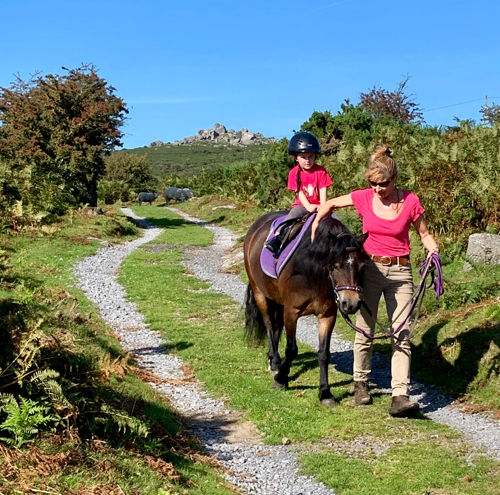 "Rainbow the Pony" is now being ridden!