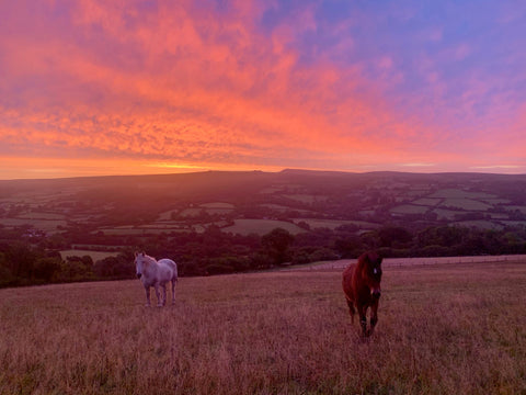 Sunrise over Dartmoor