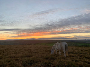 Sunset over Cordon Tor, Dartmoor