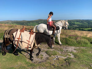 A holiday on my own back doorstep - Dartmoor: Day One!