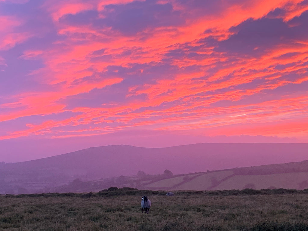 Dartmoor Sunset!