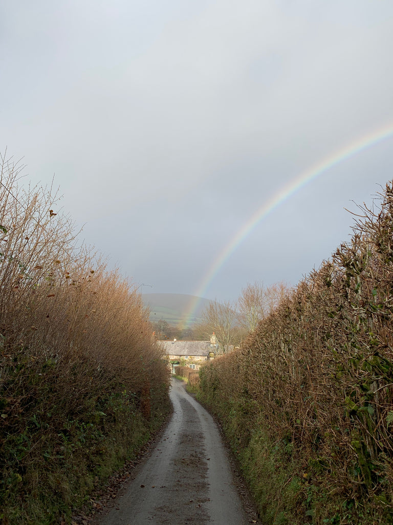 A lane on Dartmoor.