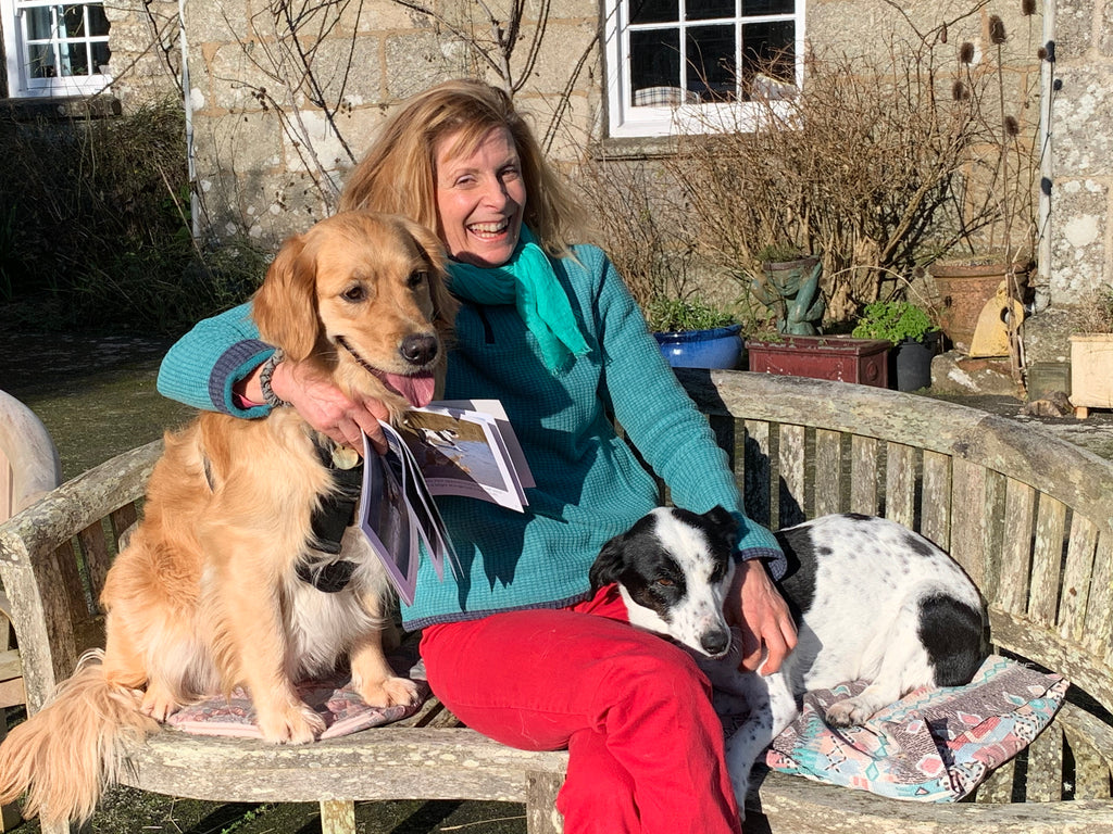 Retriever Puppy Preview!