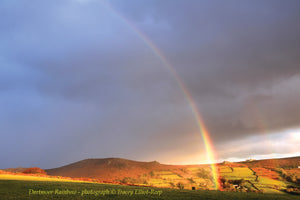 Rainbow over Bonehill Down on Dartmoor