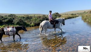My pony ride across Dartmoor- Day 2  Dartmeet to Burrator