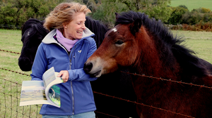 Tracey talks about her book "The Dartmoor Pony Book." - with her ponies!
