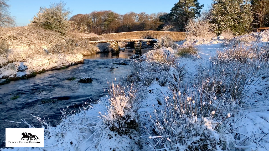 Dartmoor snow days!