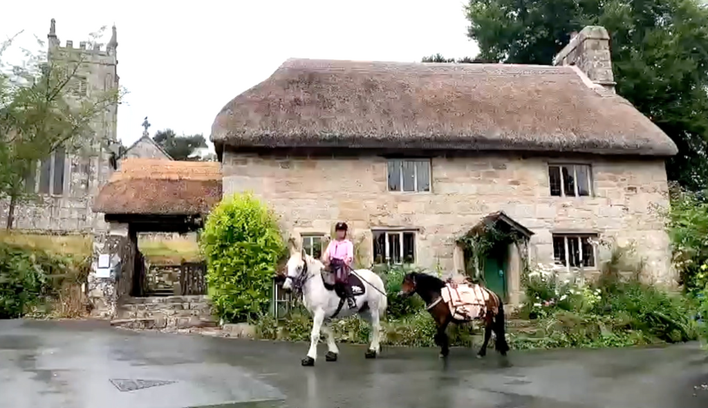 Riding to Scotland visiting the Native ponies of Britain on route! - part 2 Dartmoor