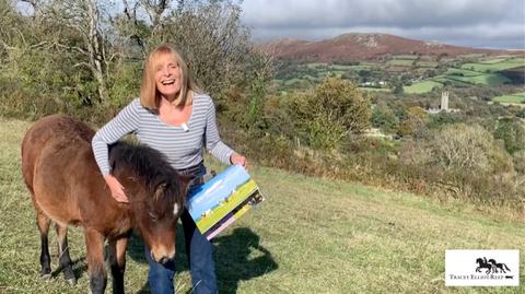 My 2026 Dartmoor Calendar with Star my Dartmoor pony foal