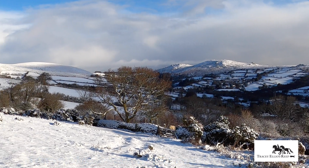 Tracey  feeds her ponies in the snow on Dartmoor - Episode 1