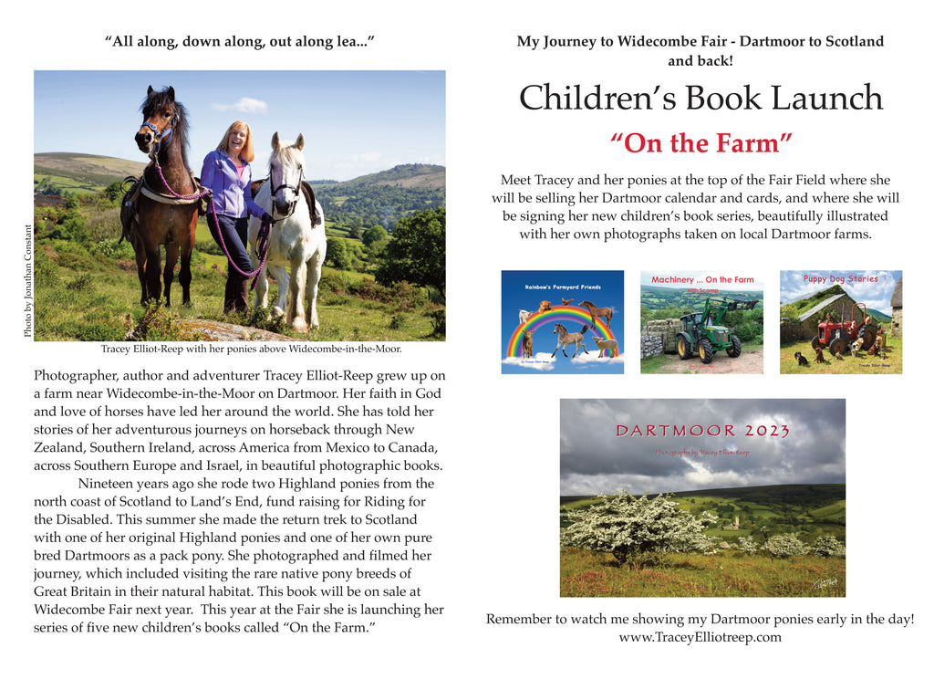 Widecombe Fair