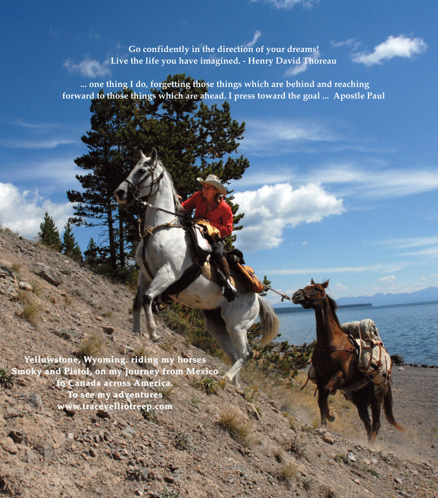 Live the Life you have imagined - Henry David Thoreau