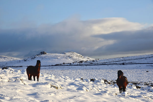 CA027 - Dartmoor 2027 Calendar