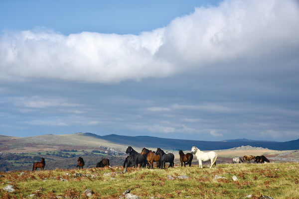 CA027 - Dartmoor 2027 Calendar